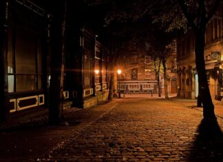 Jaka moc lampy UV do oczka wodnego?