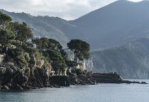 Ile kosztuje sportowe zawieszenie?