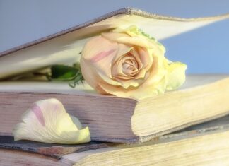 Czy warto kupić używane felgi?