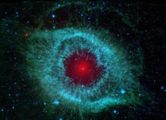 Jakie ostrzałki do noży forum?