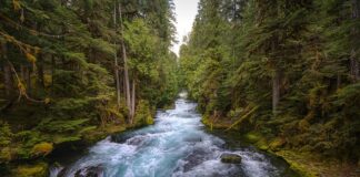 Jak zrobić centralne odkurzanie?