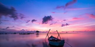 Na jaki kolor maluje się sufit?