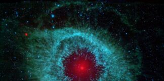 Jaka Ostrzałka do łańcucha Stihl?