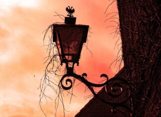 Jak sprawdzić mocowanie amortyzatora? Jak sprawdzić mocowanie amortyzatora?