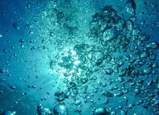 Jak otwierać szampana? Jak otwierać szampana?