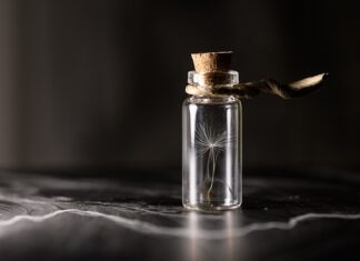 Jak doświetlać sadzonki papryki?