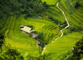 Jaka najlepsza izolacja termiczna?