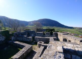 Jak pobudzić kwiaty do wzrostu? Jak pobudzić kwiaty do wzrostu?