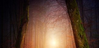 Jakie oświetlenie w warsztacie samochodowym?