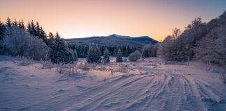 Ile kosztuje zdjęcie opony z felgi?