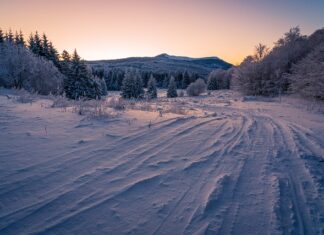 Ile kosztuje zdjęcie opony z felgi?