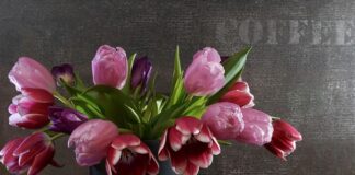 Jak zamontować sprężyny sportowe?