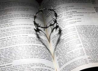 Co to za firma Monroe?