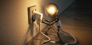 Jaka żarówka do wzrostu roślin?