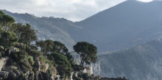 Ile kosztuje ościeżnica metalowa do drzwi?