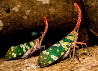 Co się stanie jak zmieszam olej 5W30 z 5W40? Co się stanie jak zmieszam olej 5W30 z 5W40?