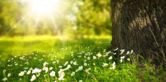 Które światło jest zdrowsze żółte czy białe?