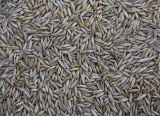 Kto produkuje samochody seat? Kto produkuje samochody seat?