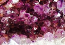 Co po szlifowaniu gładzi?