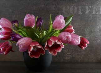 Co ile wymieniać sprężyny w aucie?