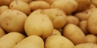 Jak naostrzyć piłę łańcuchową do cięcia wzdłużnego?